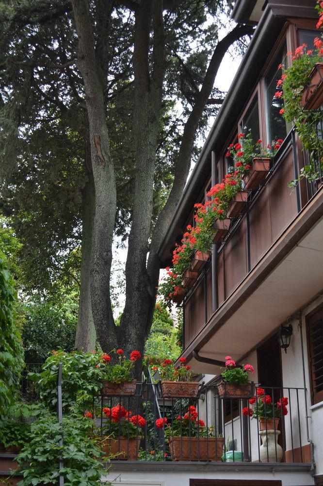 Villa Rosa Etna Apartments Дзаферана Етнеа Екстериор снимка
